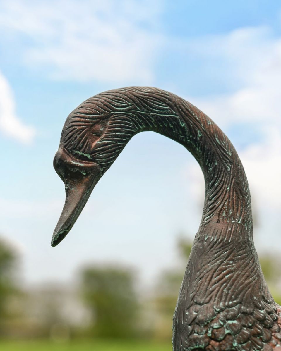 Verdigris Swan Facing Down close up of head
