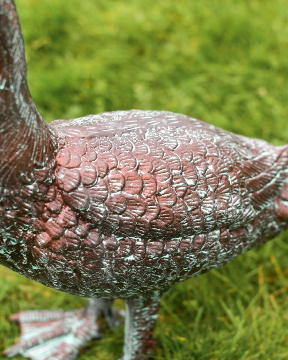 Verdigris Swan Facing Down close up of wing 