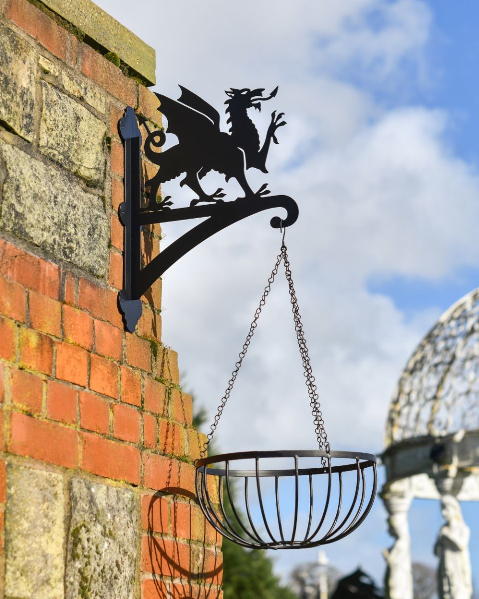 Welsh Dragon Iron Hanging Basket Bracket with Traditional Wrought Iron Hanging Basket
