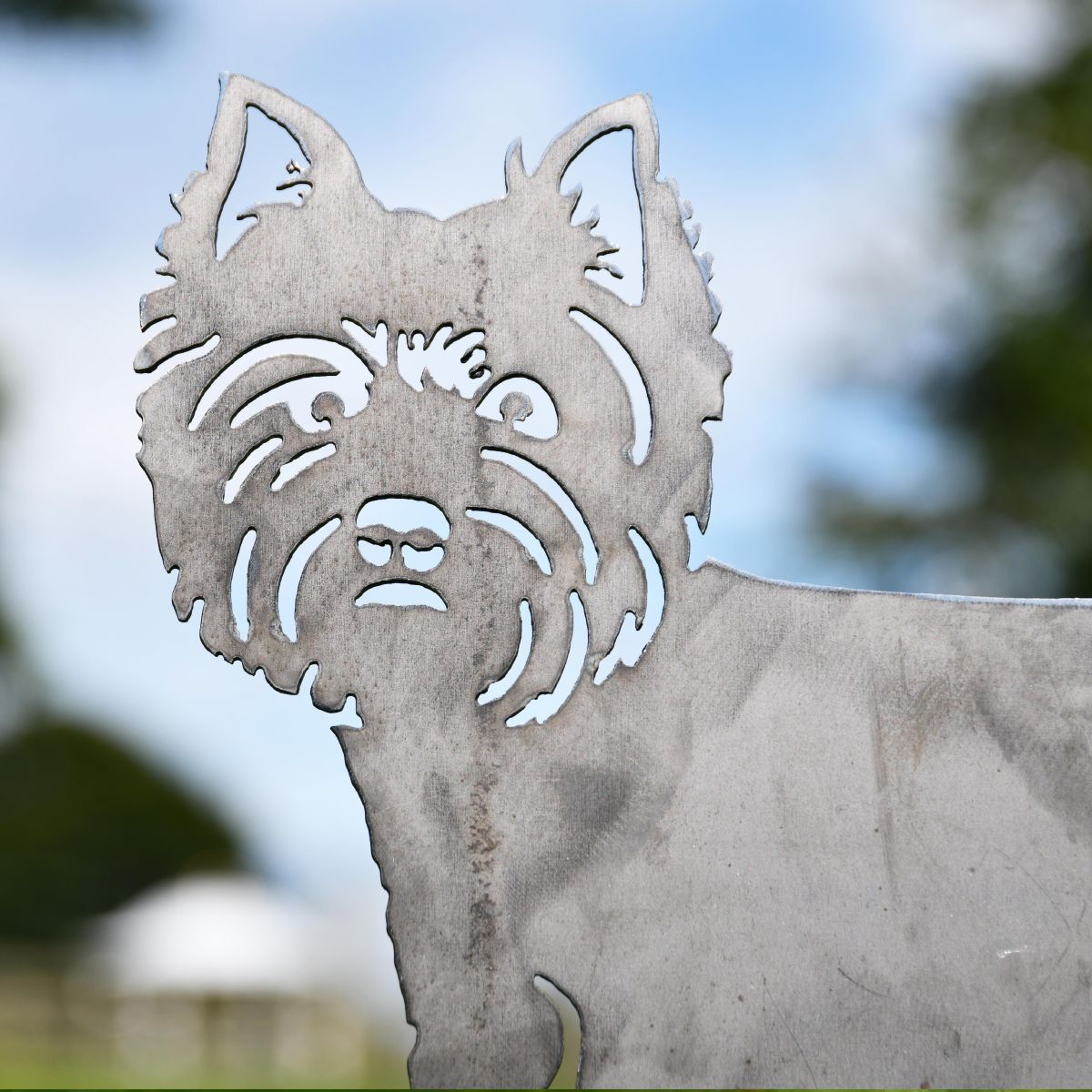 Silver West Highland Terrier Silhouette close up face