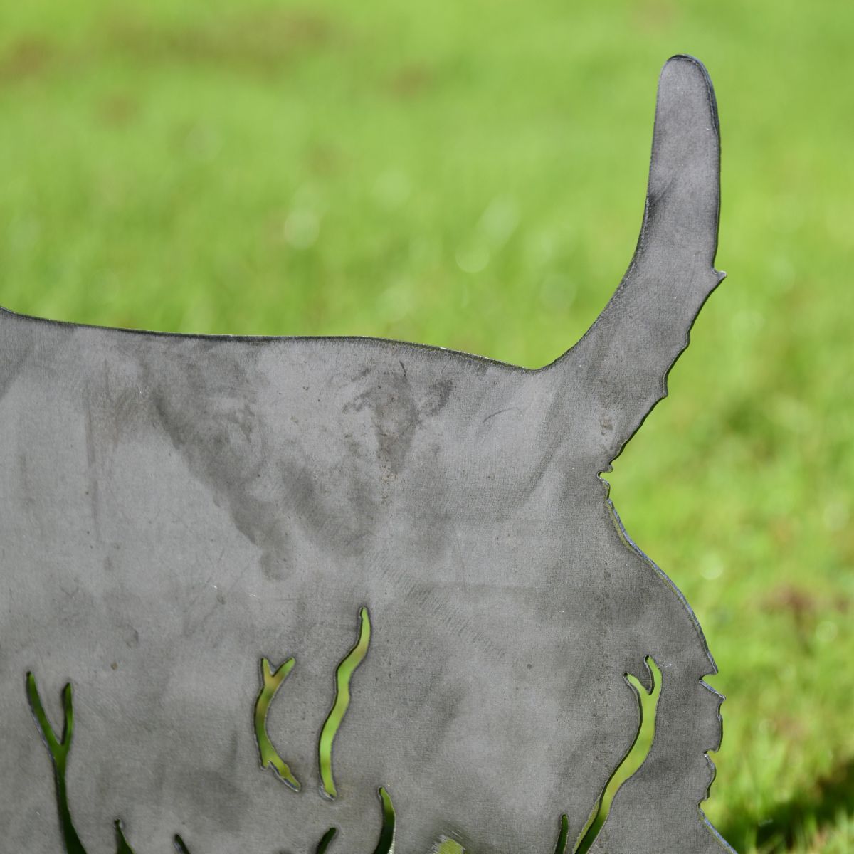 Silver West Highland Terrier Silhouette close up tail