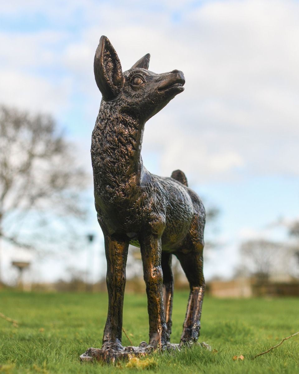 "Willow" In Situ 