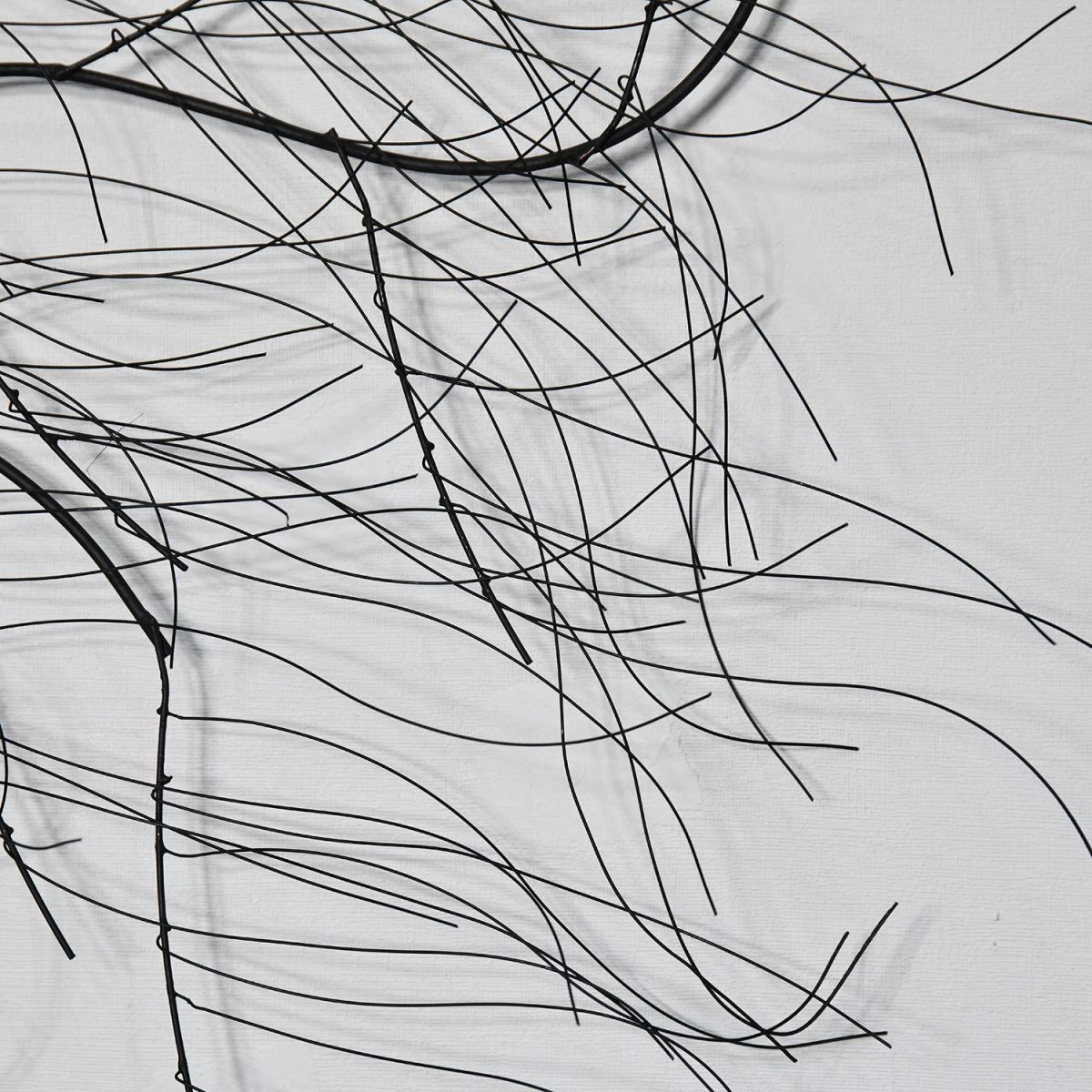 Close-up of the Branches on the Tree