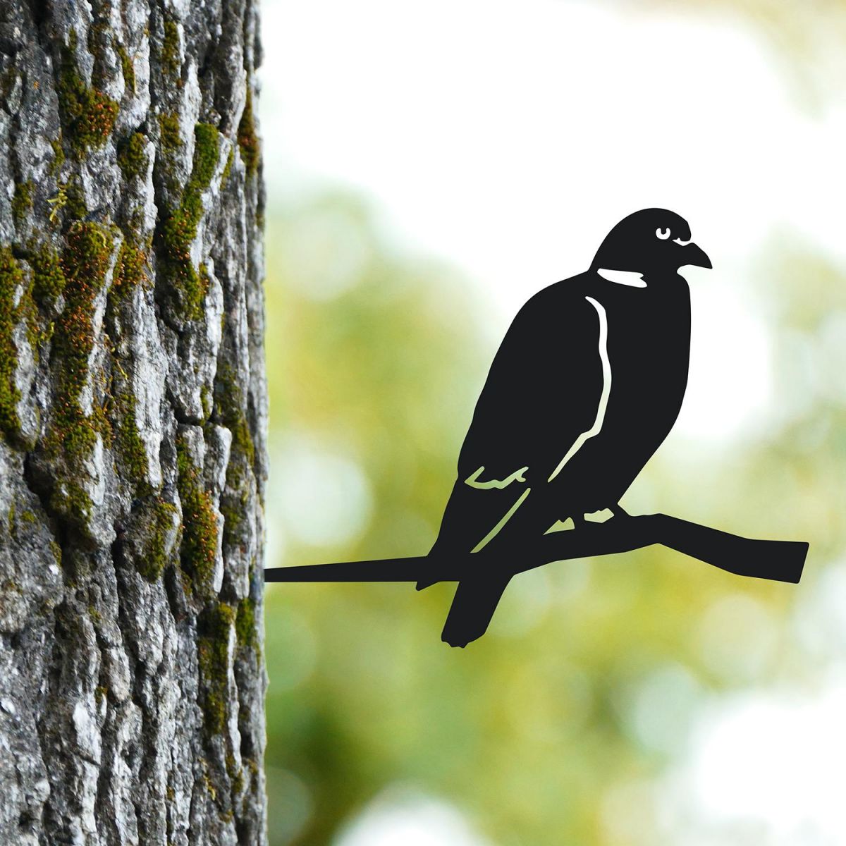 Wood Pigeon Tree Spike on Situ on a Tree