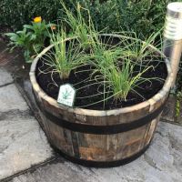 Hand Painted herb sign for Chives in Barrel