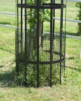 Close up of protective mesh detailing on wrought iron black tree guard