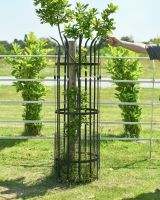 Scale image of ornate black tree guard