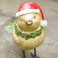 Front view of Christmas Robin