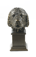 Newfoundland Dog Bust