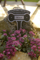 Pet Memorial Sign - Spiked Aluminium Dog