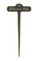 Plantain Lily Brass Garden Plant Sign