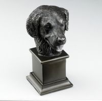 Golden Retreiver Dog Bust