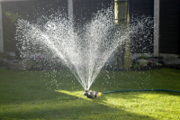 Bronze watering can sprinkler working