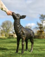 "Bramble" Doe Scale Shot 