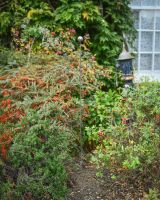 "Amber" Suncatcher Garden Stake