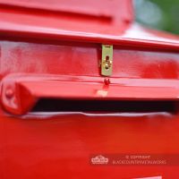 “Blushed Peony” Red Goldhay Post Box Letter Slot