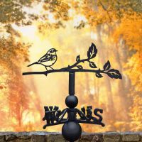  Reed bunting weathervane in an autumnal setting