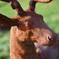 Close-up of the Laying Down Cast Iron Stag Sculpture