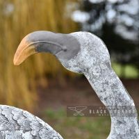 Close-up of the Head of the White Flamingo