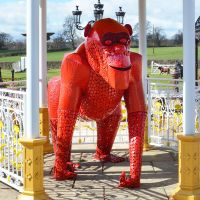 Red “Lord Greystoke” Stunning Silverback Gorilla Inside a Gazebo