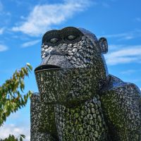 Close-Up of Black & Silver “Lord Greystoke” Stunning Silverback Gorilla Sculpture