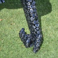 Close-Up of Feet