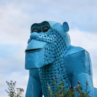 Close-Up of Blue “Lord Greystoke” Stunning Silverback Gorilla Sculpture