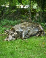 "Penelope" the Sleeping Pig Garden Sculpture