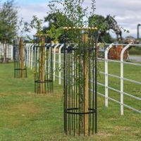 “Titan” Tree Guards - Gold in Three Sizes