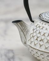 Close up of "Agawa" White Finish Cast Iron Japanese Style Teapot spout