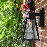 Angular Black Modern Porch Wall Lantern With Floral Background