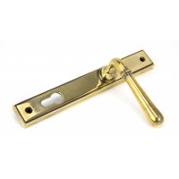 "Emerson" Antique Brass Slim Line Door Handle