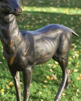 Close-Up of Bodywork for Antique Bronze "General" Freestanding Stag Garden Sculpture