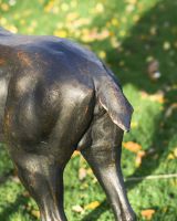 Close-Up of Antique Bronze Finish