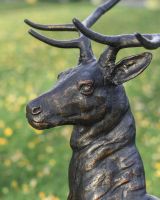 Close-Up of Head of Antique Bronze "General" Freestanding Stag Garden Sculpture