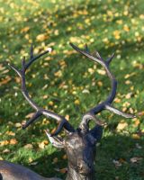 Close-Up of Antlers for Antique Bronze "General" Sitting Stag Garden Sculpture