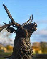 Close-Up of Head for Antique Bronze "Regiment" Roaring Stag Garden Sculpture on Stand