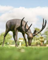 "Roe" Grazing Buck Sculpture in Situ