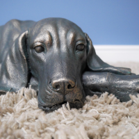Close-up of the Face of the Laying Dog Sculpture
