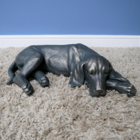 Laying Dog Sculpture in Situ in the House