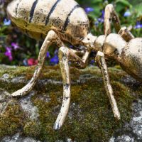 Close-Up of Legs & Body of Carpenter Ant Sculpture
