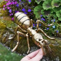 Scale Shot of Antique Gold "Carpenter" Ant Sculpture