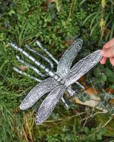 Scale Shot of Antique Silver Prehistoric Dragonfly Garden Sculpture