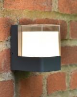 "Arley" Modern Wall Light