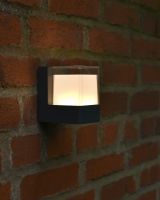 In situ night photo of garden wall light