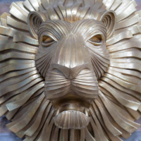 Close-up of the Face of the Lion