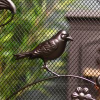 Beautiful bird design detail