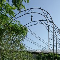 Black finish willow winds arch way