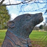 Close up of badger face