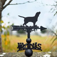 Iron Beagle Weathervane in Use Outdoors